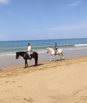 Imagen secundaria 2 - Paseos a caballo por Doñana en Huelva: ¿dónde puedo hacerlo, cuánto tiempo es y cuál es su precio?