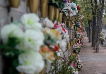 Hoy no te he traído flores