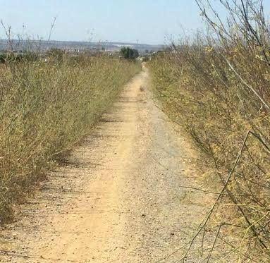 El Ayuntamiento de San Juan se hace cargo de la adecuación de la vía verde