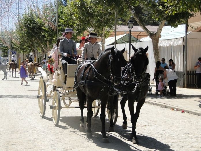 La fiesta grande de Moguer finaliza tras unos días repletos de actividades