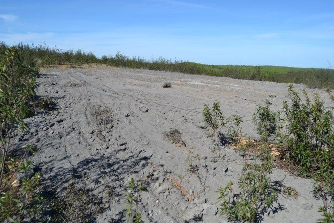 Denuncian que se  han esparcido residuos en una zona de gran valor ambiental de Niebla
