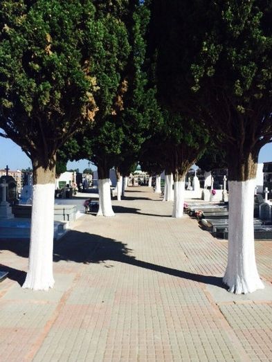 El cementerio de Gibraleón, preparado para la festividad de Todos los Santos