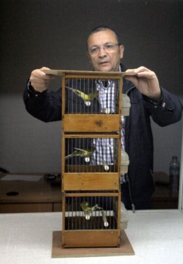 Antonio Toledo Caro gana el VII Concurso de Canto Timbrado Español de Cartaya