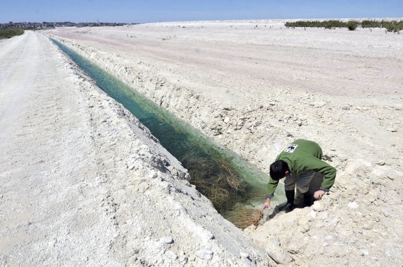 La Audiencia Nacional da 10 días a Fertiberia para que presente el proyecto de restauración de los fosfoyesos