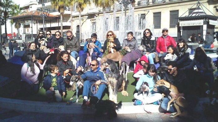 Paseo de denuncia en el día mundial del galgo