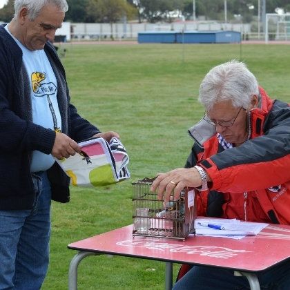 Punta Umbría acoge el Campeonato de Silvestrismo