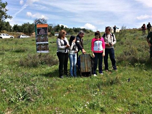 Nueva suelta de un lince ibérico procedente del Centro de Cría en Cautividad de 'El Acebuche'