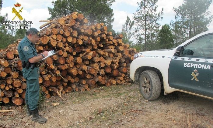 Intervenidas 15 toneladas de madera de pino por la Guardia Civil en Aroche