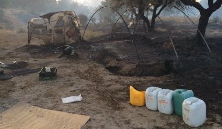 Estabilizado un incendio forestal en Lucena del Puerto