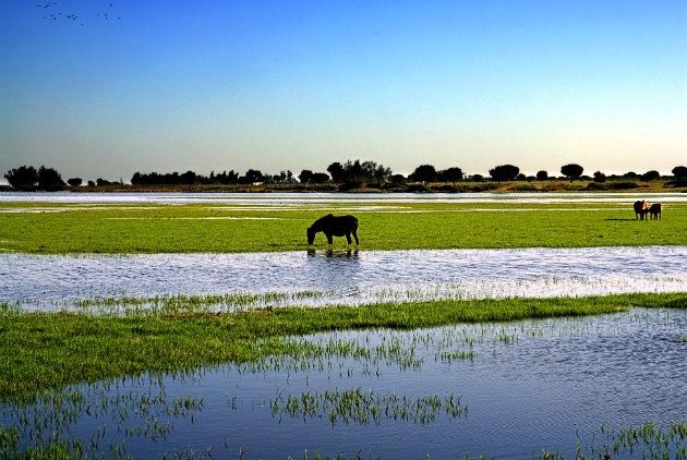 Un diagnóstico ambiental analiza el medio natural, urbano y gestión de la energía en la provincia