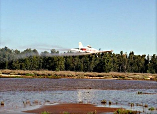 El Plan de Control de Mosquitos actuará en 130.000 hectáreas de 12 municipios de la provincia