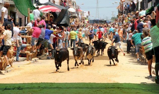 San Juan disfruta de sus tradicionales capeas con un gran ambiente y sin incidentes