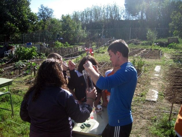 Clausurados los Huertos Escolares en el Parque Moret, en el que han participado más de 500 menores