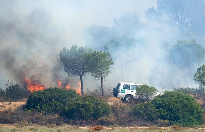 Estabilizado el incendio en el paraje de El Rincón