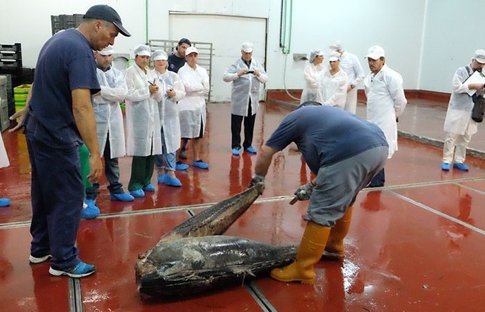El runrún: 'Supertiburón' en El Espigón 