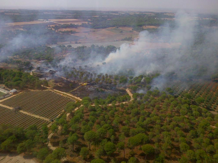 Estabilizado el incendio forestal declarado en Lucena del Puerto