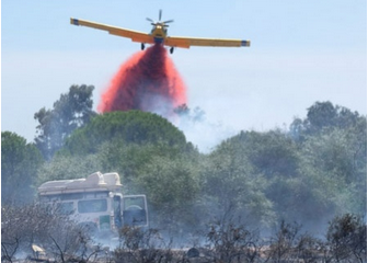 El incendio de La Rábida calcina tres hectáreas y el alcalde de Palos cree que 'ha sido intencionado'