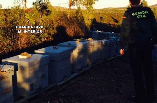 La Guardia Civil recupera 109 colmenas que habían sido robadas en varias fincas de la zona del Andévalo