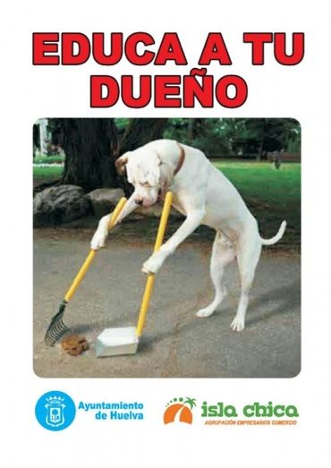 ‘Convivencia perruna’ este domingo para sensibilizar sobre la importancia de mantener las calles limpias