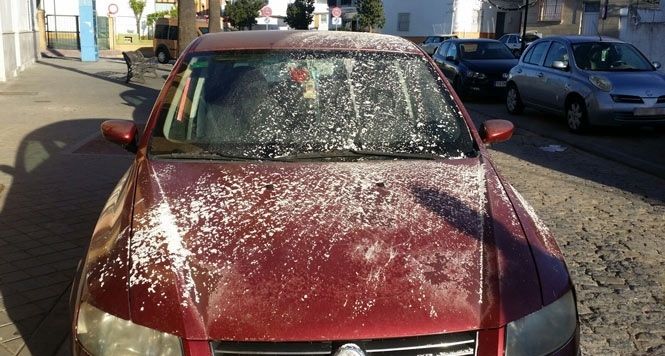 Más de una decena de coches amanecen cubiertos de harina y huevos en Lepe