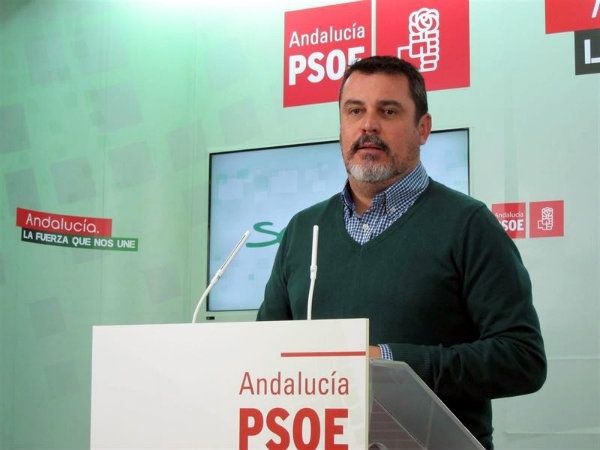 El PSOE pide que se investiguen los hechos del yacimiento para que 'caiga todo el peso de la ley'