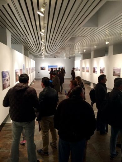 Alumnos de Imagen del IES Pablo Neruda trasladan la luz del Algarve a la Sala de la Provincia