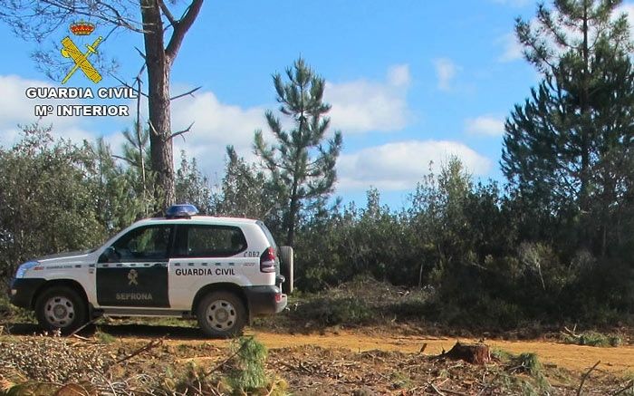 Localizadas dos personas que se habían perdido en la Sierra cuando buscaban setas