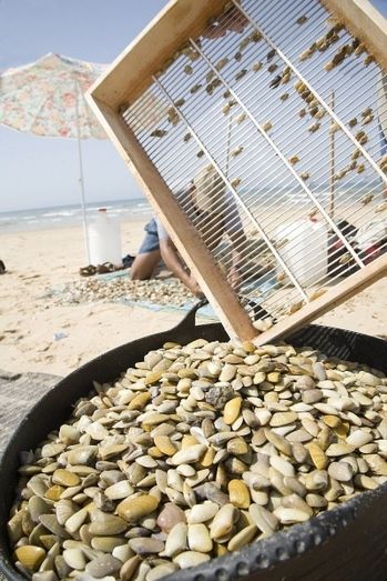 2015 cerró con más de 550 expedientes sancionadores por marisqueo ilegal en Huelva