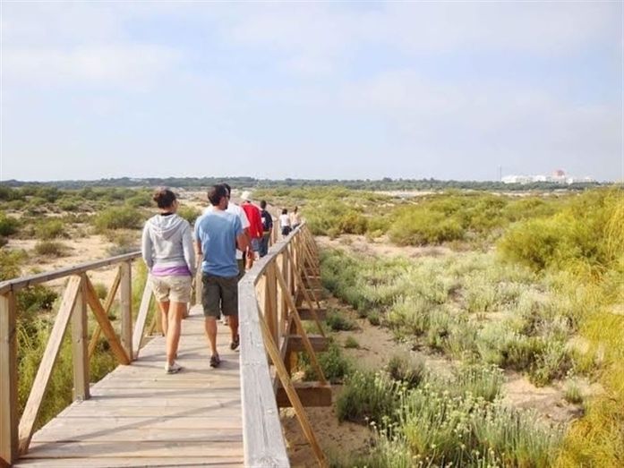 Ayuntamientos de Cartaya y Lepe y la Junta se coordinan para la limpieza de la Flecha de El Rompido