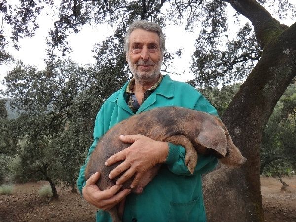 El jamón más caro del mundo, que se vende a 4.100 euros, es de Huelva