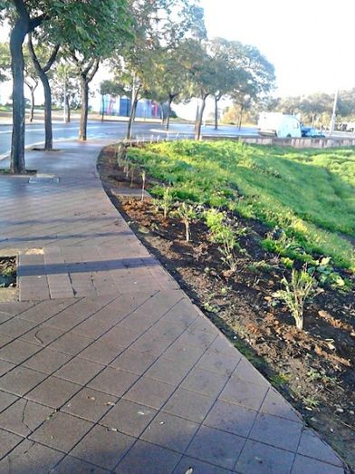 El runrún: Un ejemplo de incivismo
