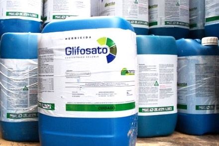 Ecologistas pide a la Diputación y a los ayuntamientos que prohíban los herbicidas con glifosato