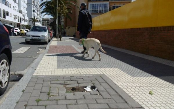 IU propone una repoblación de árboles en Huelva y la creación de nuevas zonas ajardinadas