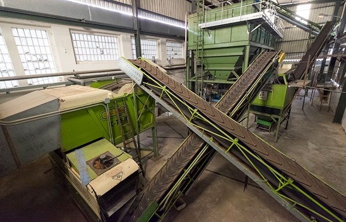 Raigal, en defensa del cultivo tradicional que da vida a Doñana