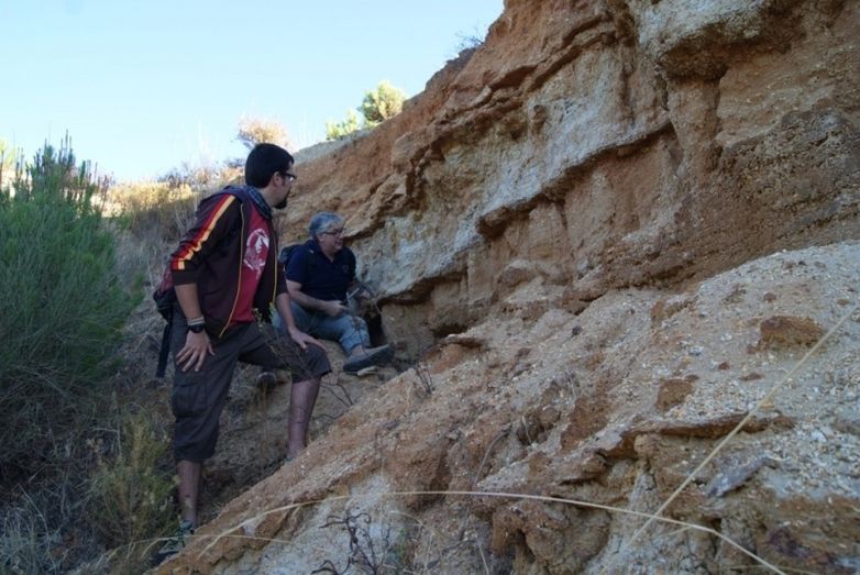 El runrún: El rodaballo de 650 euros