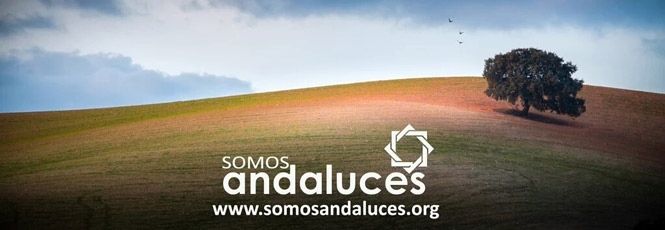 Somos Andaluces, la voz del nacionalismo andaluz para el 26-J