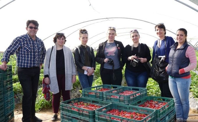 Blogueras gastronómicas francesas visitan Huelva para promocionar las fresas europeas en su país