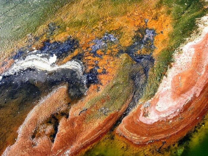 El runrún: La que le puede caer a Cascajo