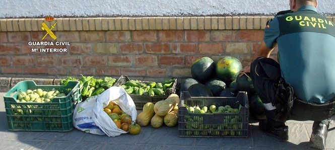 Detenido tras embestir a un coche de la Guardia Civil cuando huia con fruta robada