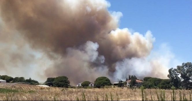 El Infoca trabaja en la extinción de un incendio en la Cañada del Corcho de Gibraleón