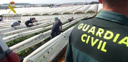 La Guardia Civil esclarece cuatro robos en fincas agrícolas de Cartaya