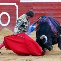 Expectación que se queda a medias