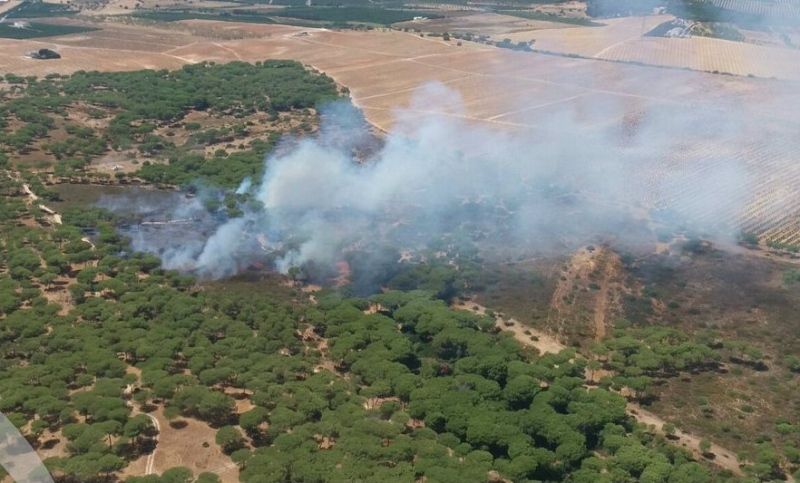 El Infoca da por controlado el incendio declarado en un paraje entre Gibraleón y Cartaya