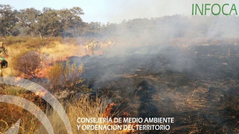 El incendio de El Castillo de las Guardas ha afectado a 'más de 100 hectáreas' en dos fincas de Zufre