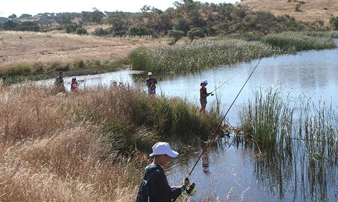 Unos 200 jóvenes de la provincia se inician en la pesca deportiva en el entorno del Huerto Ramírez