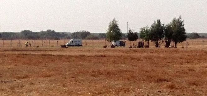 Ecologistas asegura que las obras para inyectar gas en Doñana ya han comenzado y exigen su paralización inmediata