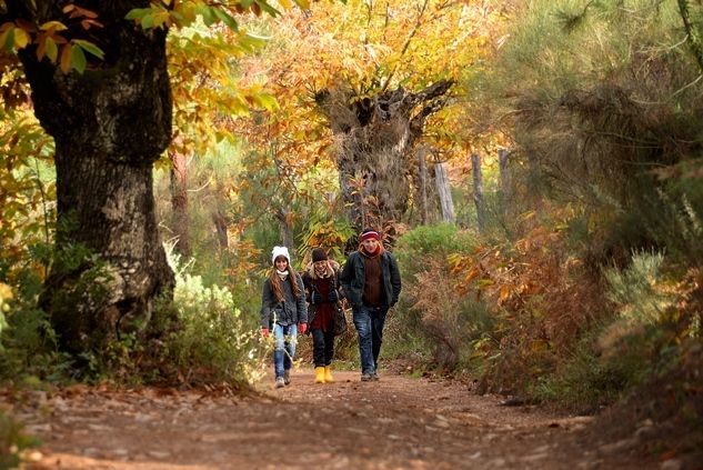 La Junta promueve trabajos de voluntariado en Doñana, Sierra de Aracena y Picos de Aroche y Marismas del Odiel