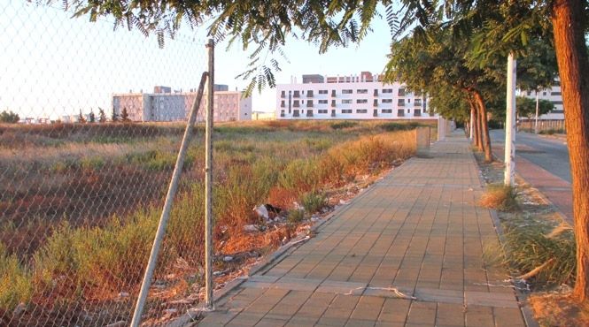 Roban el vallado del yacimiento del Seminario