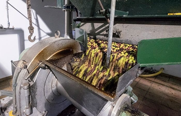 Oleodiel, un virgen extra de calidad con luz propia