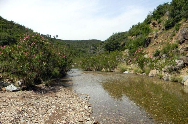 Peñas de Aroche, Sierra Pelada y Rivera del Aserrador, nuevas Zonas Especiales de Conservación de la Red Natura 2000